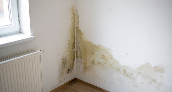 mold growth on a wall in a room with a radiator and window, indicating potential water damage